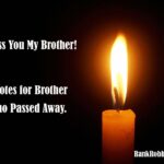 Brother Death Quotes